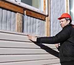 Best Custom Trim and Detailing for Siding  in Greenville, GA